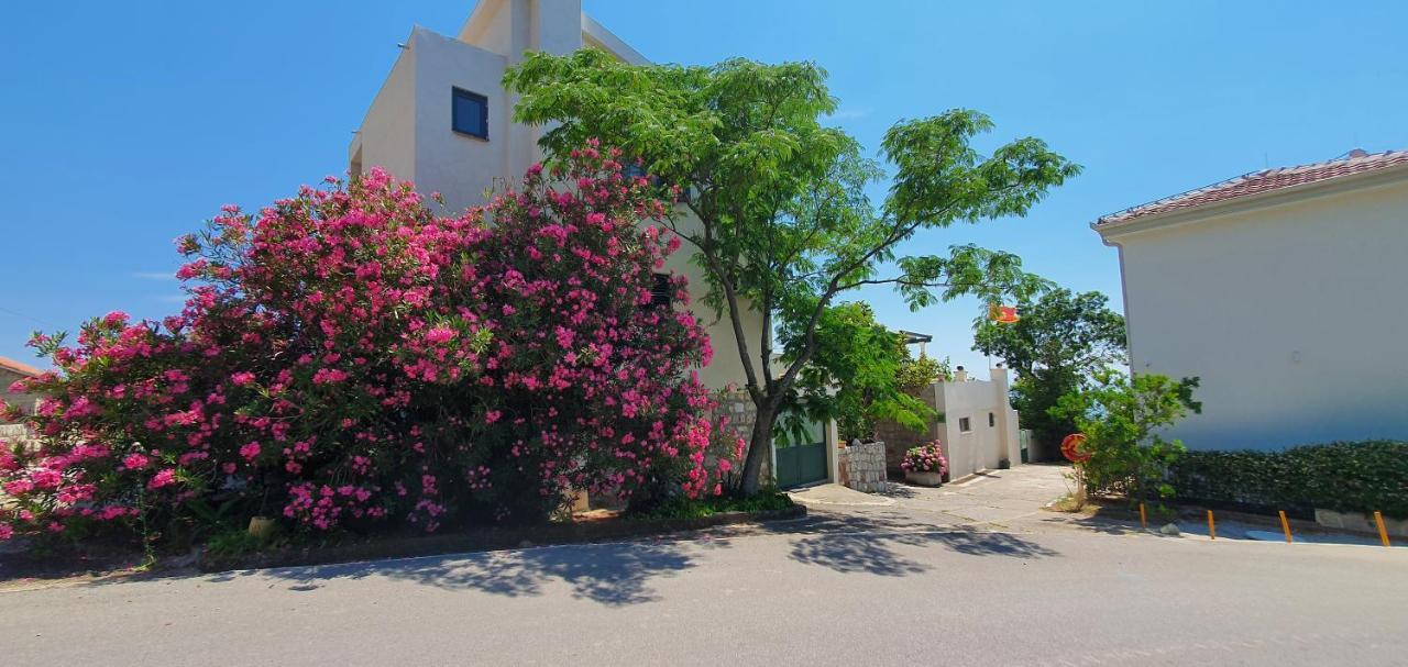 Boutique Home Saltaragazza Petrovac Bagian luar foto