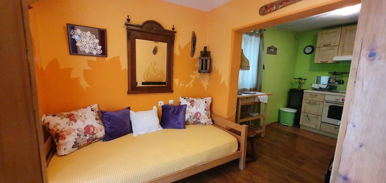 Boutique Home Saltaragazza Petrovac Bagian luar foto