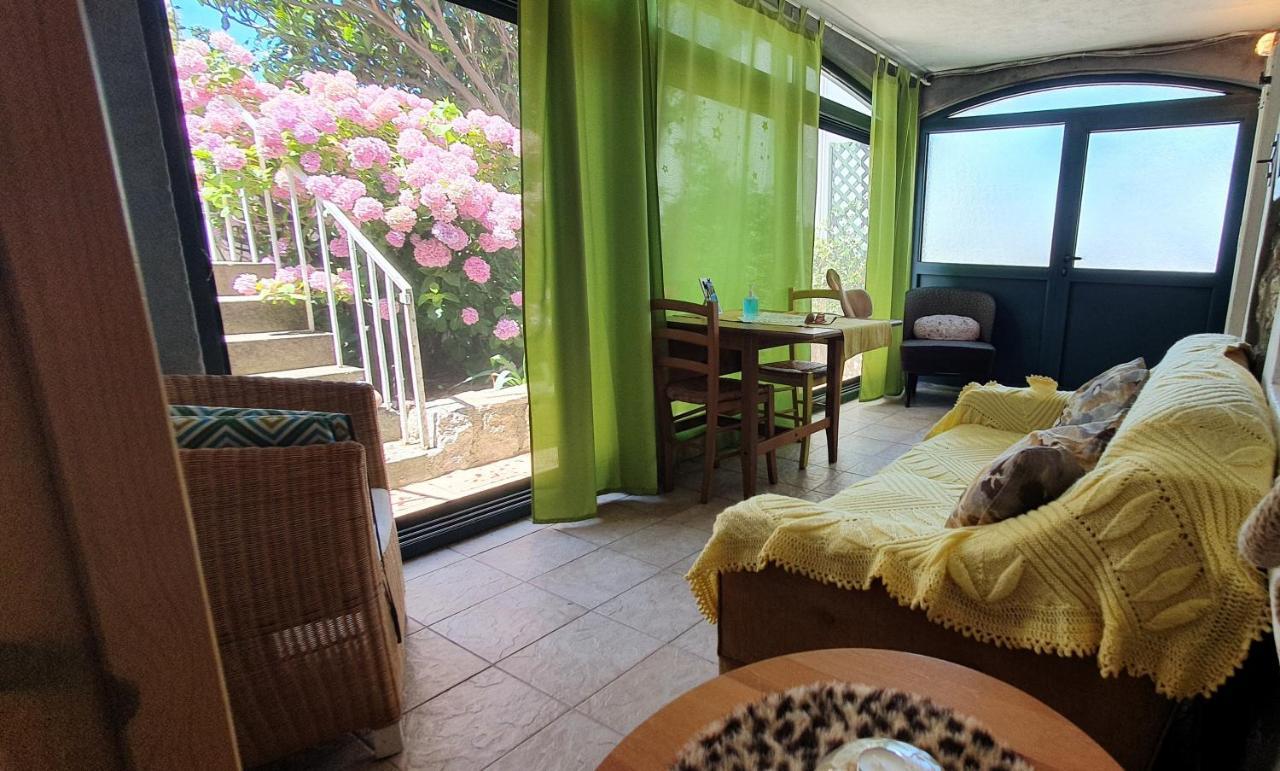 Boutique Home Saltaragazza Petrovac Bagian luar foto