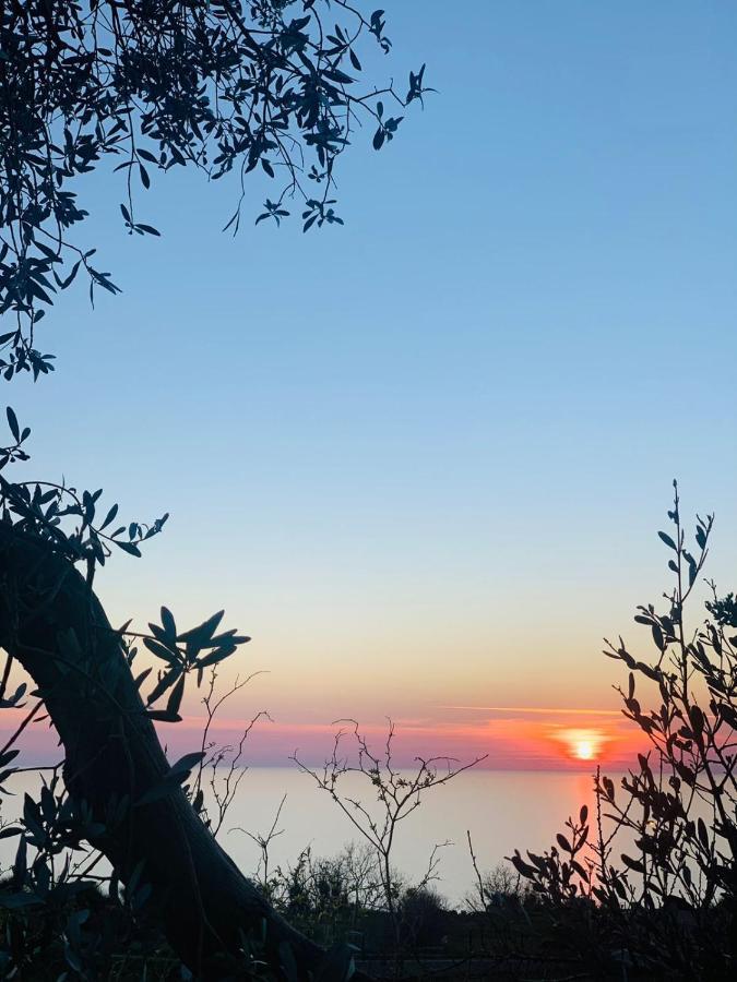 Boutique Home Saltaragazza Petrovac Bagian luar foto
