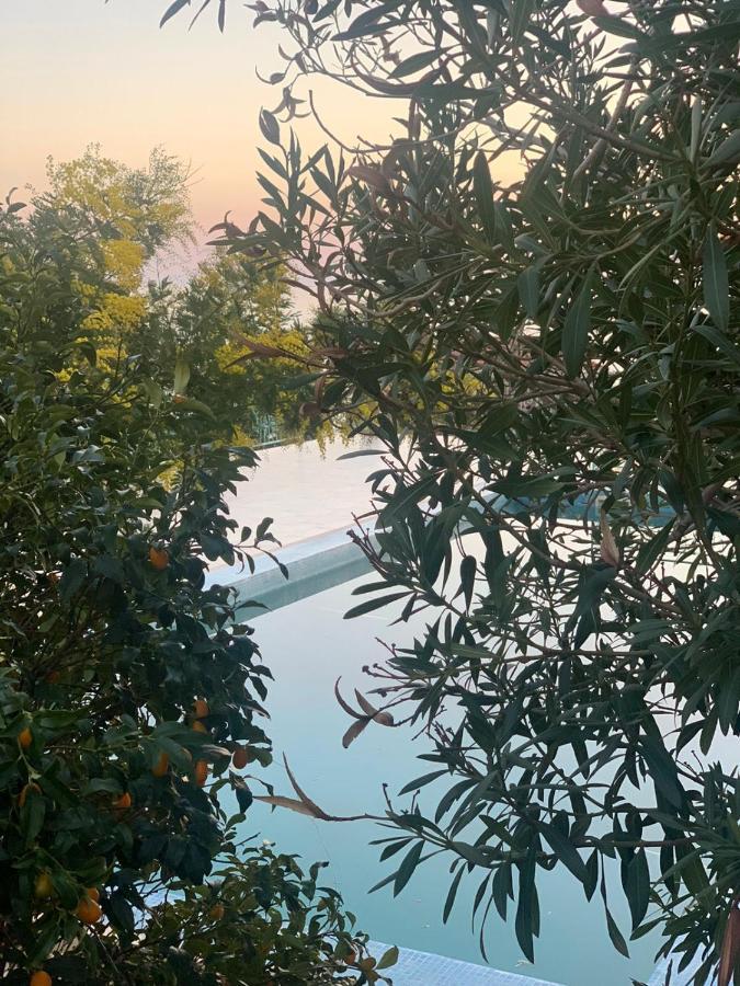 Boutique Home Saltaragazza Petrovac Bagian luar foto