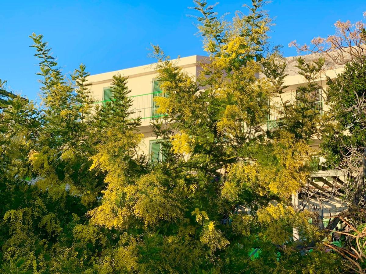 Boutique Home Saltaragazza Petrovac Bagian luar foto
