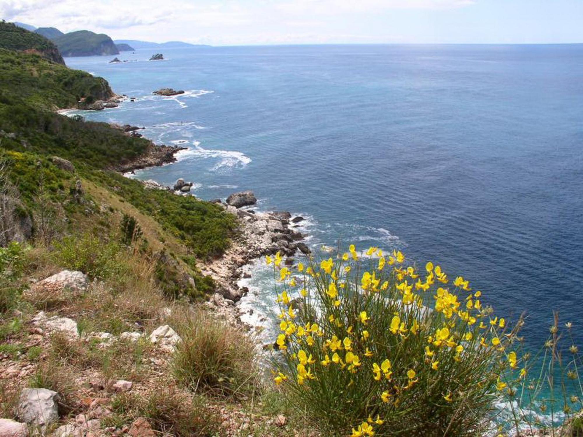 Boutique Home Saltaragazza Petrovac Bagian luar foto