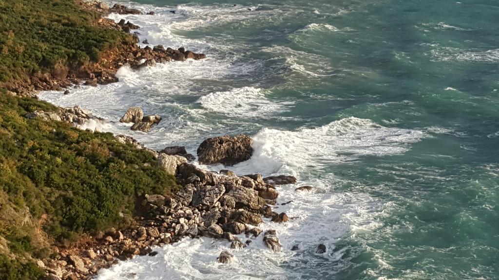 Boutique Home Saltaragazza Petrovac Bagian luar foto