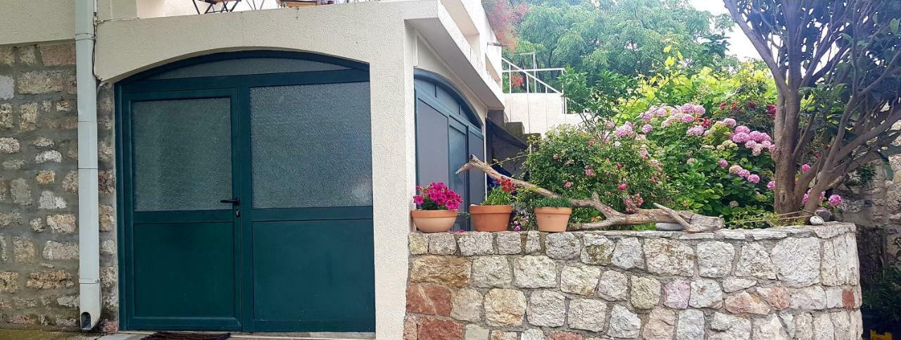 Boutique Home Saltaragazza Petrovac Bagian luar foto