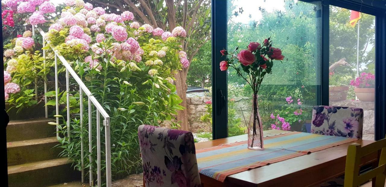 Boutique Home Saltaragazza Petrovac Bagian luar foto