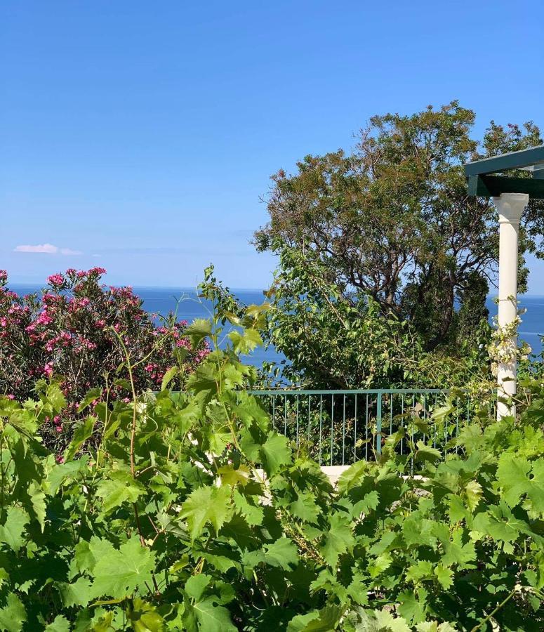 Boutique Home Saltaragazza Petrovac Bagian luar foto